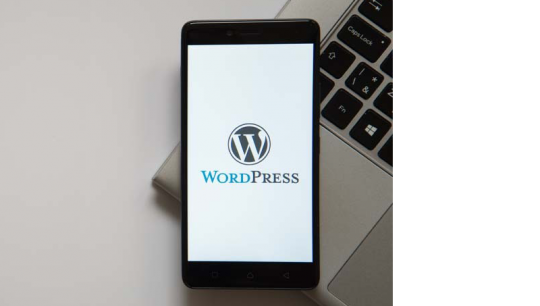 WordPress Site Hızlandırma