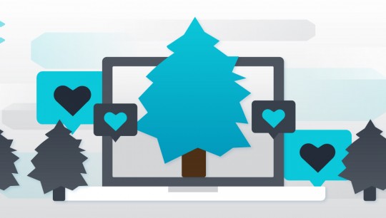 Evergreen İçerik Nedir?